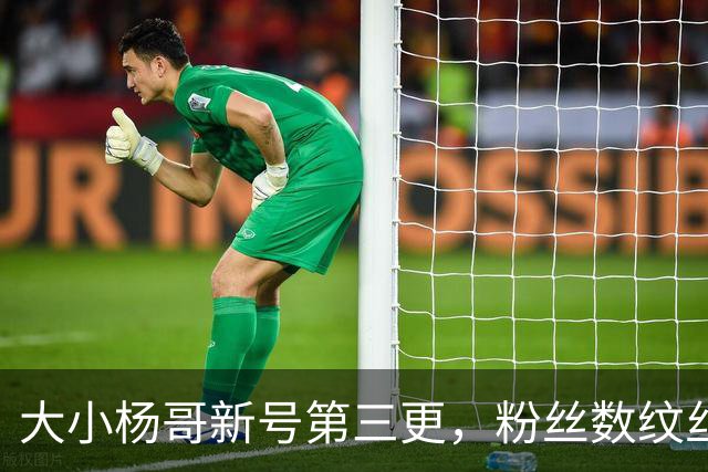 大小杨哥新号第三更，粉丝数纹丝不动